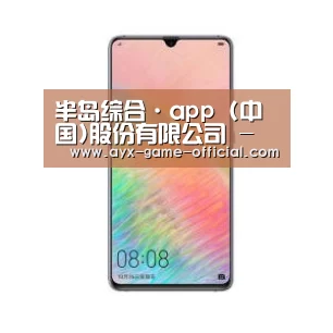 华为HUAWEI NOTE 8