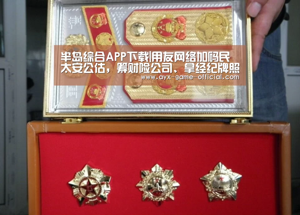 半岛综合APP下载|用友网络加码民太安公估,筹财险公司、拿经纪牌照保险野心表现(图1) 半岛综合APP下载