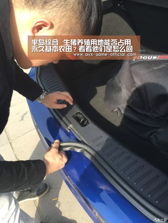 半岛综合APP下载