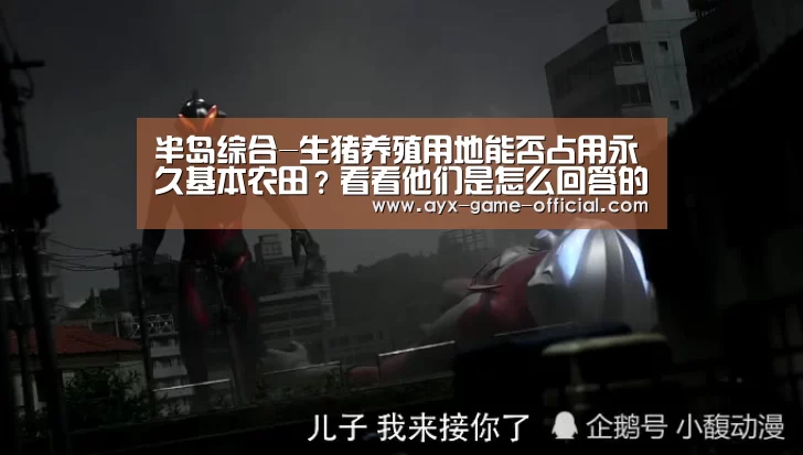 半岛综合官网