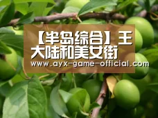 半岛综合官方入口