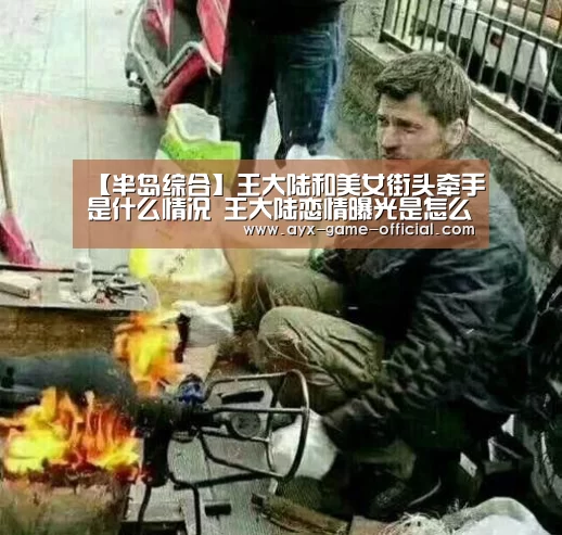 半岛综合APP下载