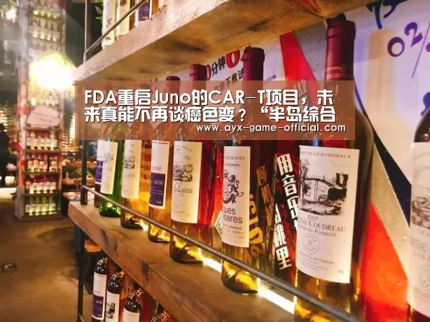 半岛综合