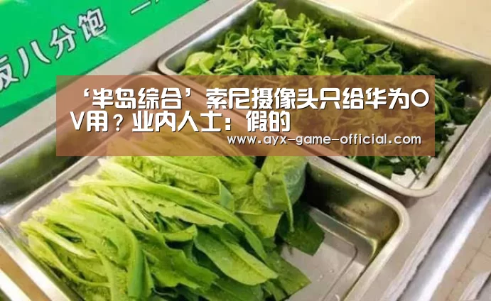 半岛综合