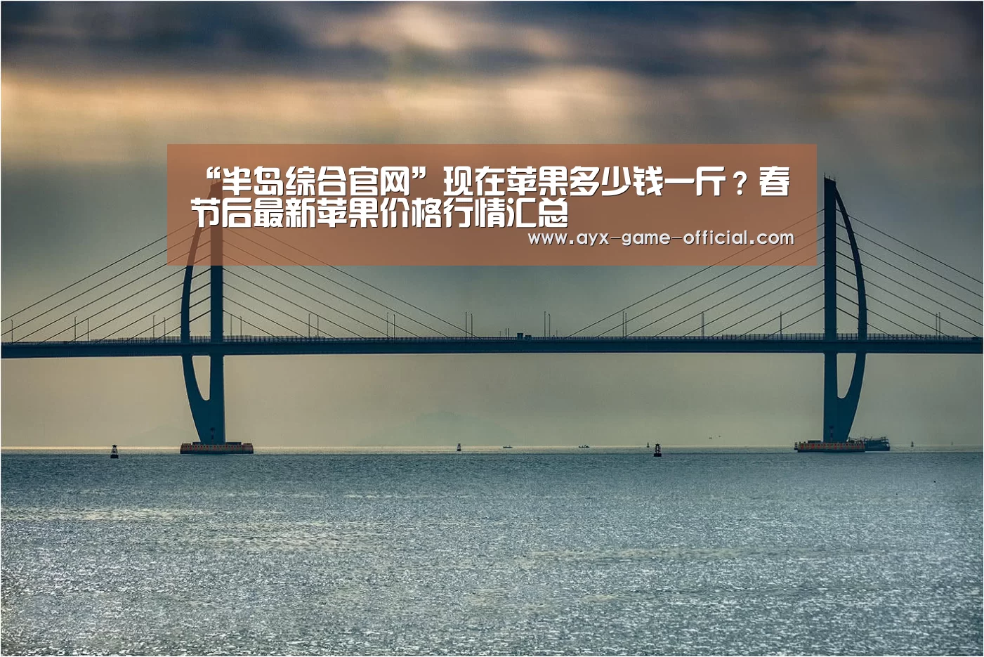 “半岛综合官网”现在苹果多少钱一斤?春节后最新苹果价格行情汇总(图1) 半岛综合APP下载