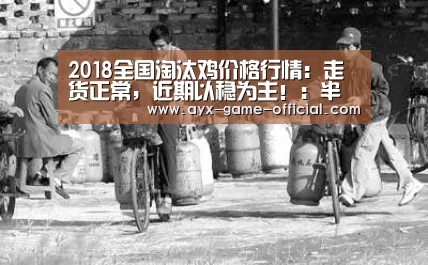半岛综合APP下载
