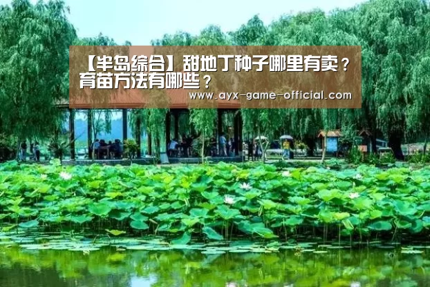 【半岛综合】甜地丁种子哪里有卖?育苗方法有哪些?(图1) 半岛综合