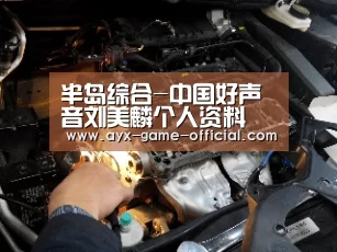 半岛综合-中国好声音刘美麟个人资料 刘美麟和许嵩是情侣关系吗(图1) 半岛综合官网