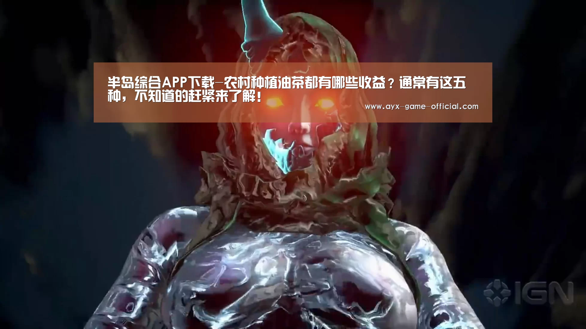 半岛综合APP下载-农村种植油茶都有哪些收益?通常有这五种,不知道的赶紧来了解!(图3) 半岛综合官网