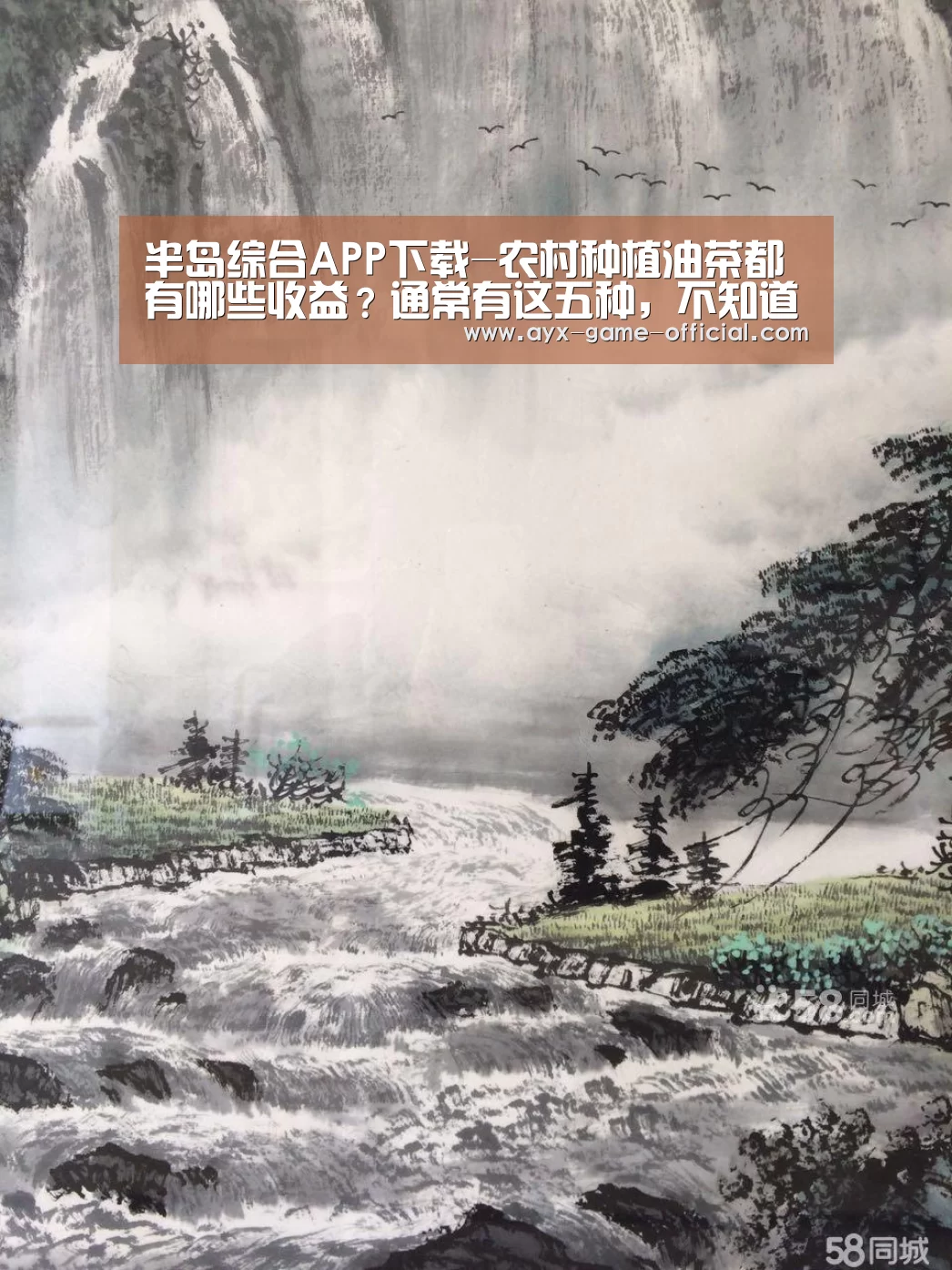 半岛综合APP下载-农村种植油茶都有哪些收益?通常有这五种,不知道的赶紧来了解!(图2) 半岛综合