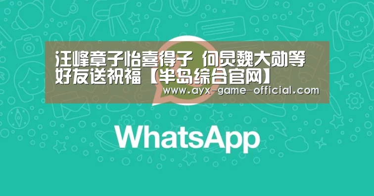 汪峰章子怡喜得子 何炅魏大勋等好友送祝福【半岛综合官网】(图4) 半岛综合官网