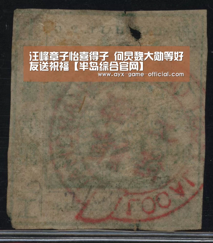 汪峰章子怡喜得子 何炅魏大勋等好友送祝福【半岛综合官网】(图2) 半岛综合官方入口