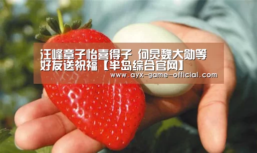 汪峰章子怡喜得子 何炅魏大勋等好友送祝福【半岛综合官网】(图1) 半岛综合