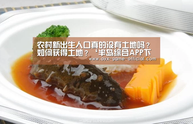 半岛综合APP下载