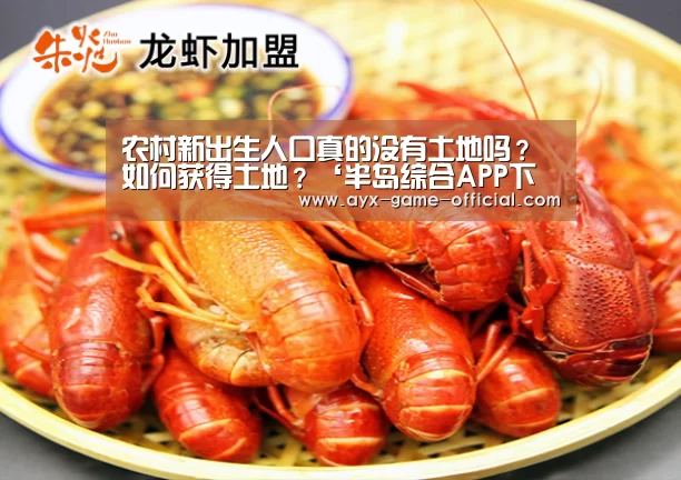 半岛综合APP下载