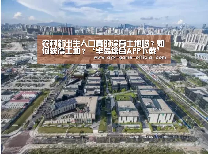 半岛综合