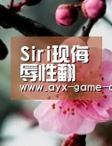 半岛综合APP下载