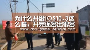 半岛综合官网