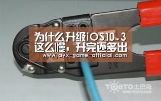 半岛综合官网