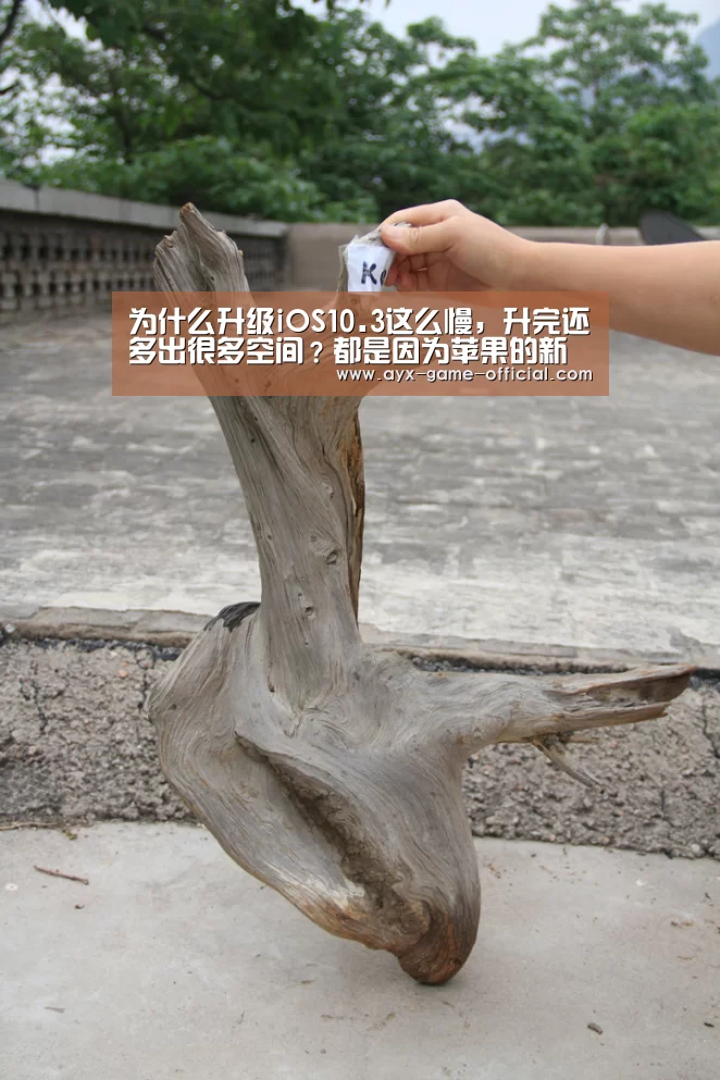 半岛综合官网