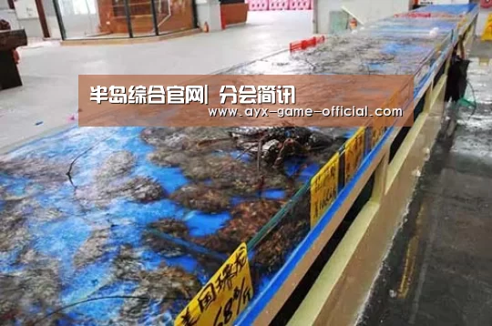 半岛综合官网|
分会简讯(图1) 半岛综合官网