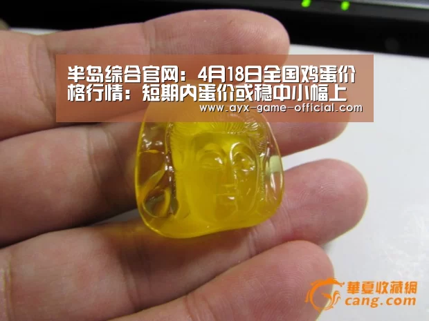 半岛综合APP下载